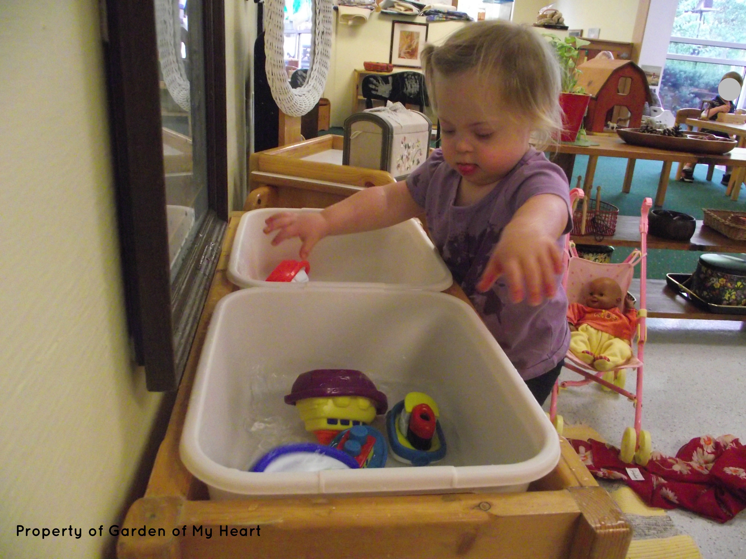 Rowenna at the Water Table